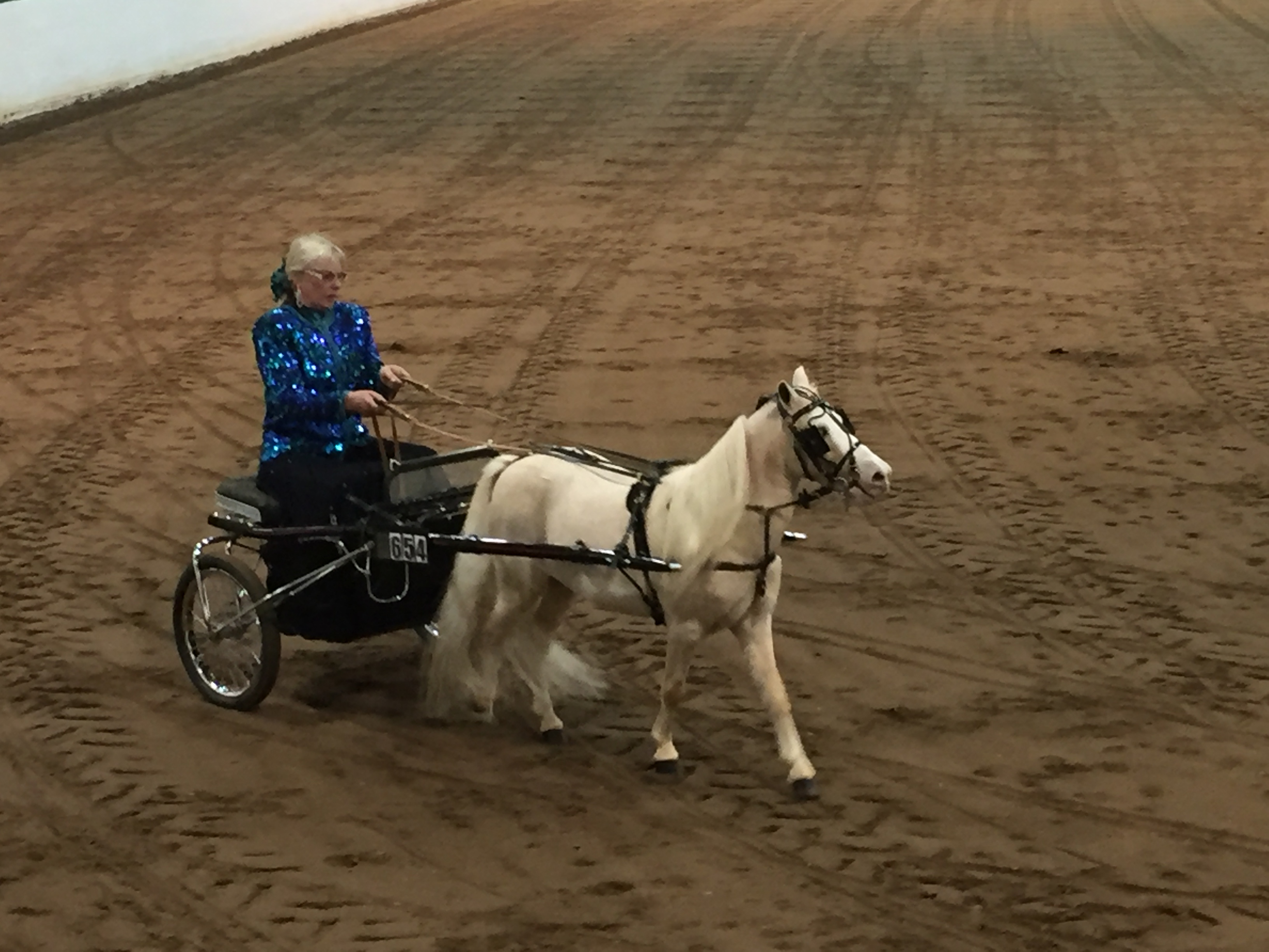 ./2015/26 - State Fair/IMG_1400.JPG